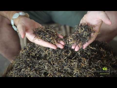 Видео: Как да определим качеството на чая