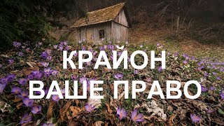 Дайте себе право быть уникальным – ни на кого не похожим право на свои собственные желания, мечты