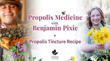 Propolis with Benjamin Pixie + Propolis Tincture Recipe