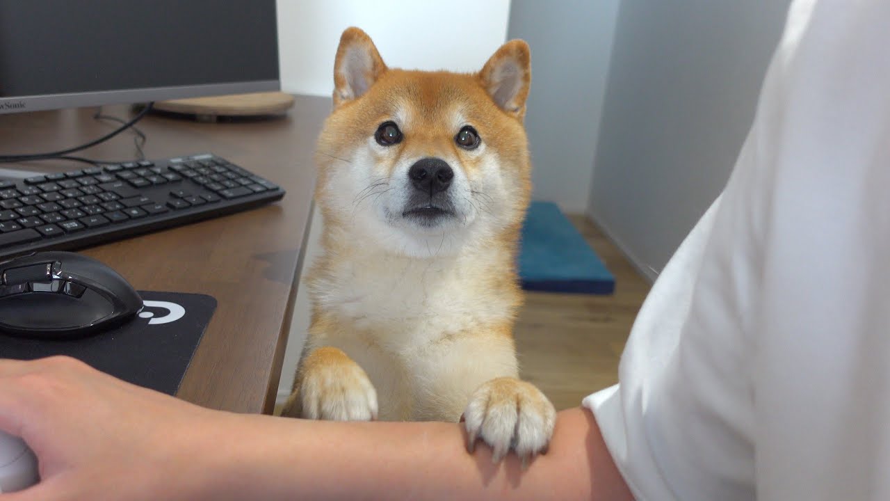 maxresdefault.jpg