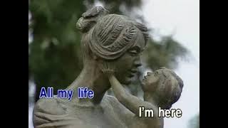 AVSEQ11 Words - Bee Gees