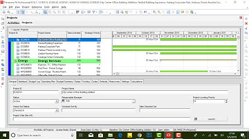Understanding Primavera P6 Professional Interface and Buttons_HD