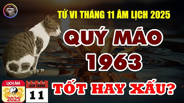 Tử Vi Tuổi Quý Mão 1963: Trong Tháng 11 Âm Lịch Năm 2025 Sẽ Như Thế Nào?