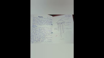 Msc Zoology Practical file 📝✨