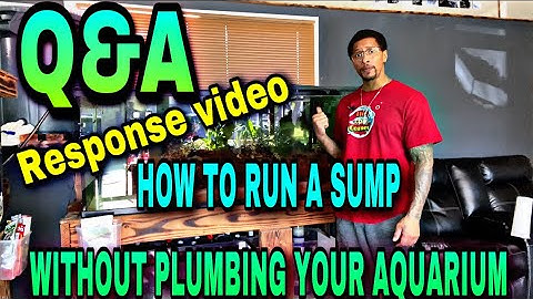 HOW TO RUN A SUMP WITHOUT PLUMBING YOUR AQUARIUM **Q&A**