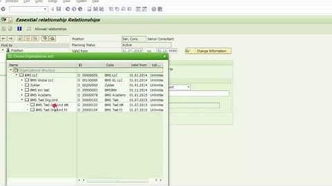 SAP ERP : Ştat vahidinin yaradılması / Creating a Position