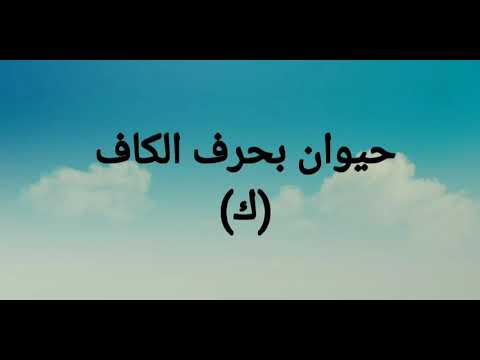 سؤال وجواب اسم حيوان بحرف الكاف ك