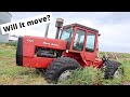 Reviving An ABANDONED Tractor!