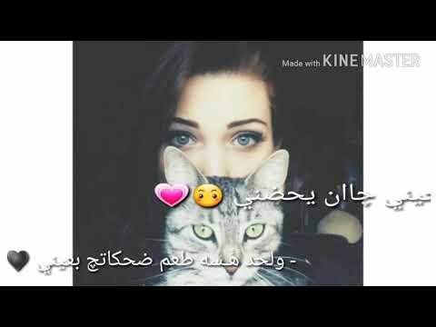 ماشفت اليوم حبيبي مع الكلمات توجع