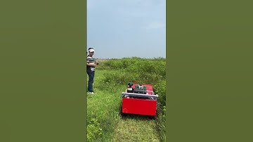 Máy cắt cỏ Robot MCC-800P #thapxanh #o348233oo6 #xuhuong #reels #máynôngnghiệp  #maycatco