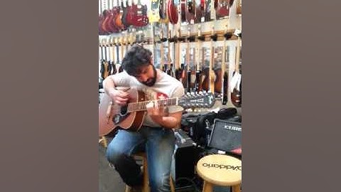 Tim Armstrong Hellcat 12 String