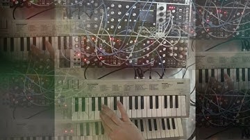 Stone Halls: Babel/Triphase/HSO/Inertia