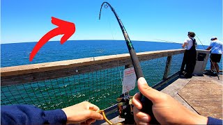 I Fished the PIER for Kings but THIS is Better!! **NEW Species**