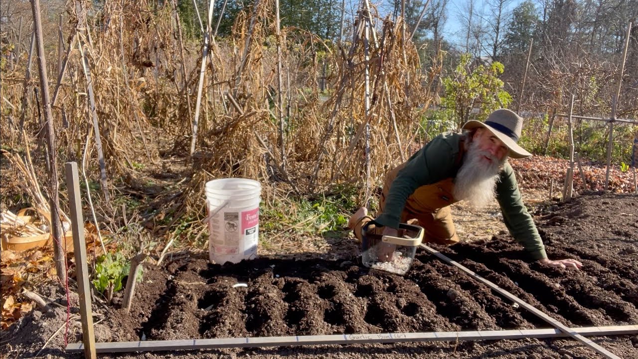 Лучший чеснок. Полное руководство: вырастите его на целый год! Загружено для дубляжа на 21 языке!