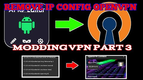 MODDING VPN PART 3 (Remove Ip Config)