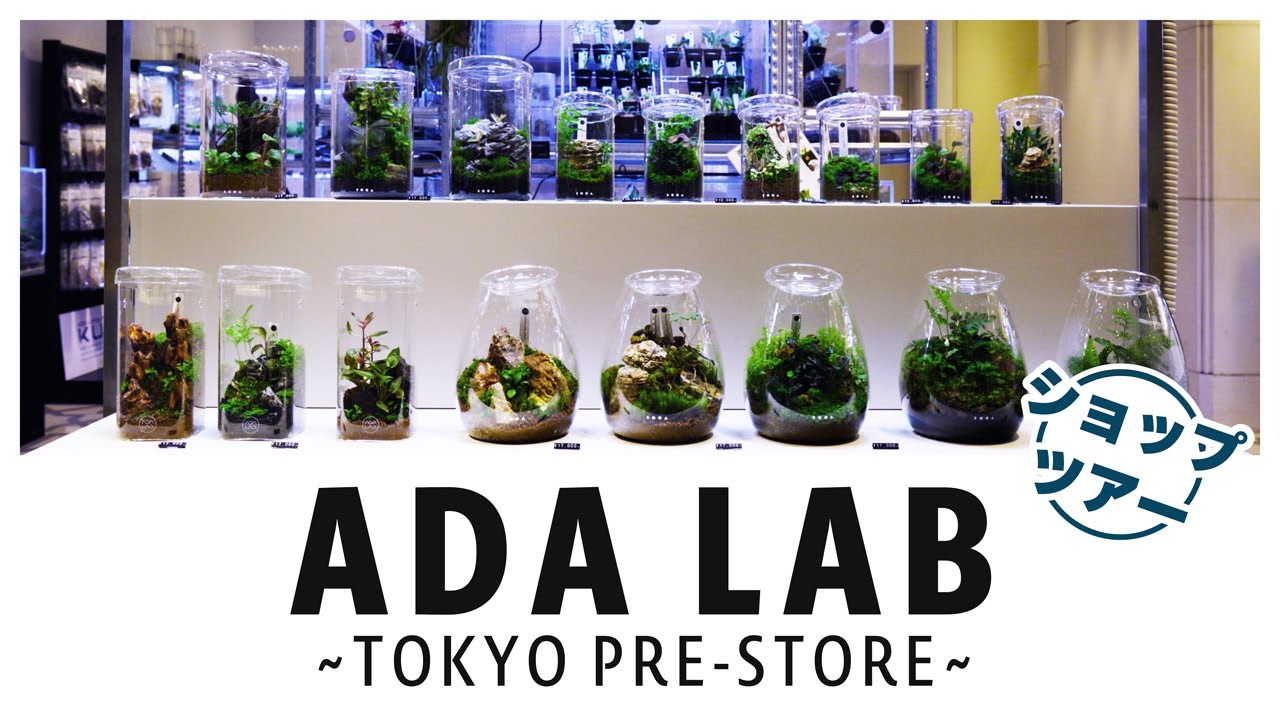 ADA LAB TOKYOの魅力を徹底紹介ショップツアー!!大丸東京にオープンした植物とパルダリウムの楽園【ADA】【パルダリウム】【水草】【ネイチャー】【アクアリウム】【植物】