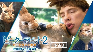 映画『ピーターラビット２／バーナバスの誘惑』予告３　映画館で上映中！