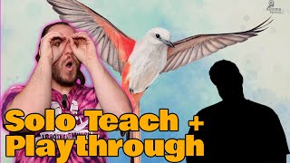 Solo Wingspan Teach and Play Through | The Game Haus