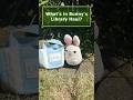 What's in Bunny's Library Haul? May 2026