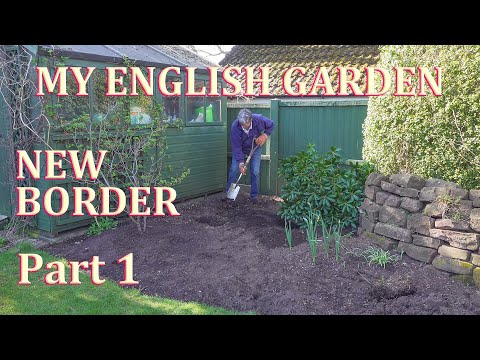 Video: Zone 8 Evergreen Shade Plants - Lär dig om Evergreens för Zon 8 Shade Gardens