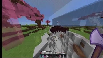 Timolia Hacker Report #1