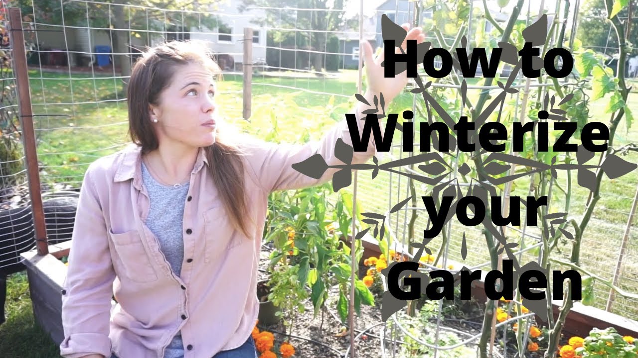 Winterize your Garden / Winter Soil / How to Prepare your Raised Bed ...