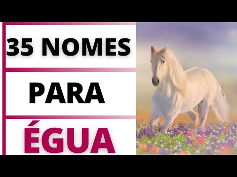 NOMES LINDOS PARA