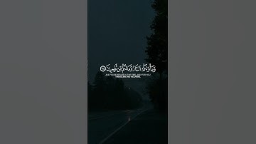 سورة الجاثية [ياسر الدوسري]