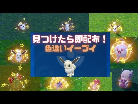 【ポケモンSV】2時間の色違いイーブイ配布配信で出た色違いまとめ 2体連続で色違いも...