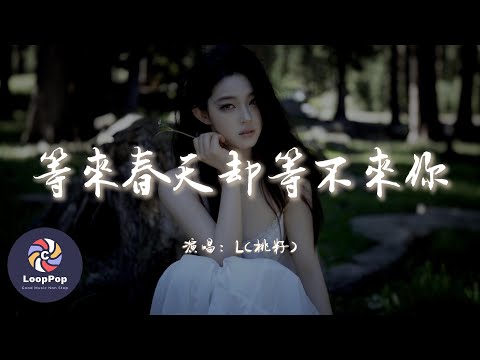 L（桃籽）- 等來春天卻等不來你『以為是你唯一結果是你之一，所以誰都能夠把我代替。』【動態歌詞 | Pinyin Lyrics】【LoopPop MUSIC】