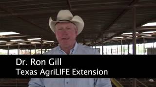 Ron Gill - Market Cow Management - Managing Cull cows to reach Best Market potential