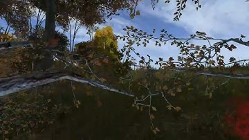 Average DayZ Official Server Experience 