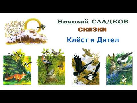 Николай Сладков 'Клёст