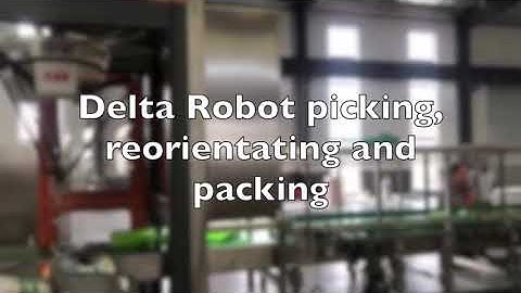Xinhan Robot | Delta Robot, picking, reorientating and packing | with vision system