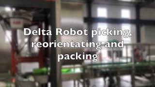 Vision-Guided Delta Robot for Picking, Reorienting & Packing