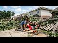 Extreme Stump Removal, Powerful Chainsaws &amp; Heavy Forestry Machines | Timber Technology