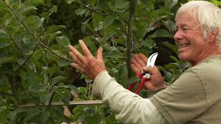 Celebrity SUMMER PRUNING AND TRAINING OF A 4 YEAR OLD APPLE TREE Profile