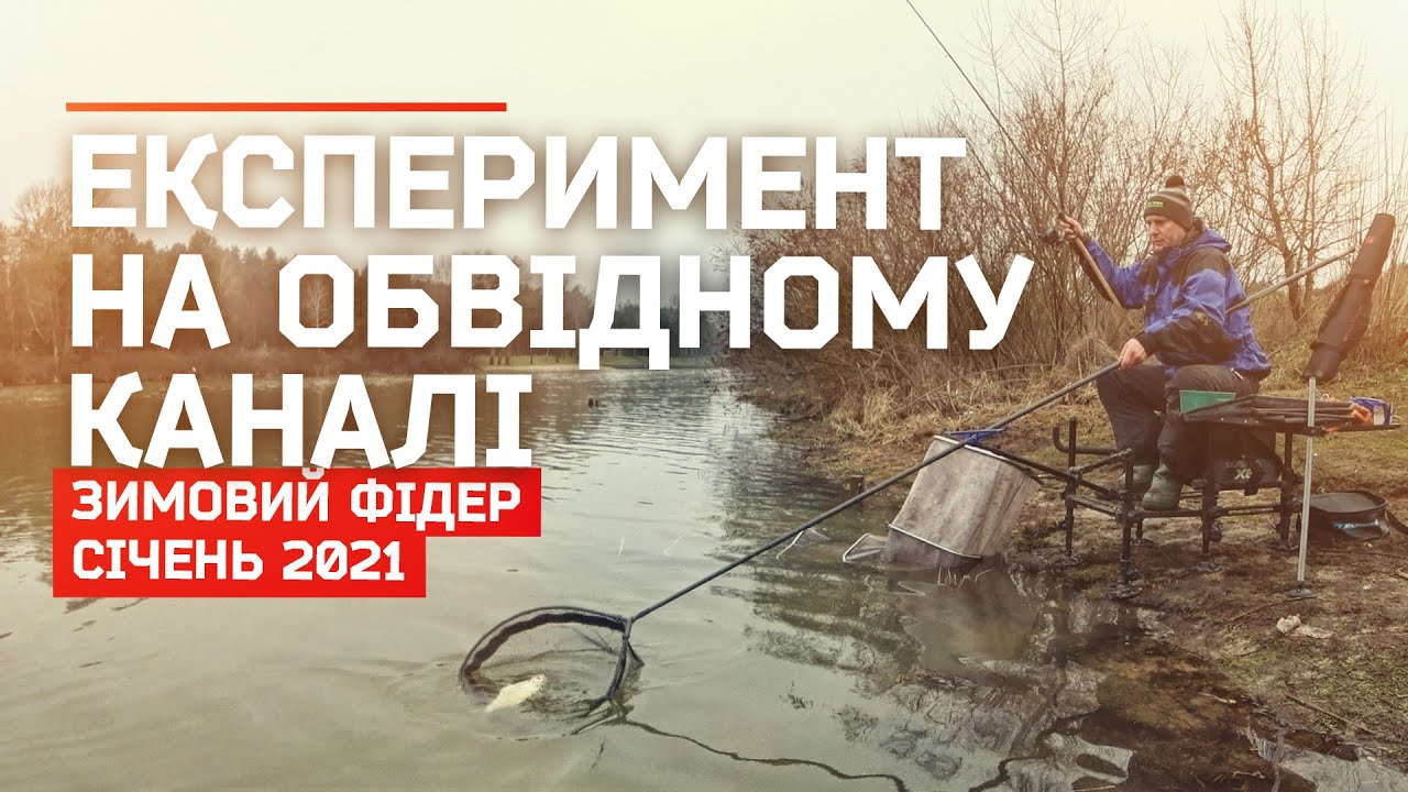 Зимовий фідер на Обвідному каналі 2021