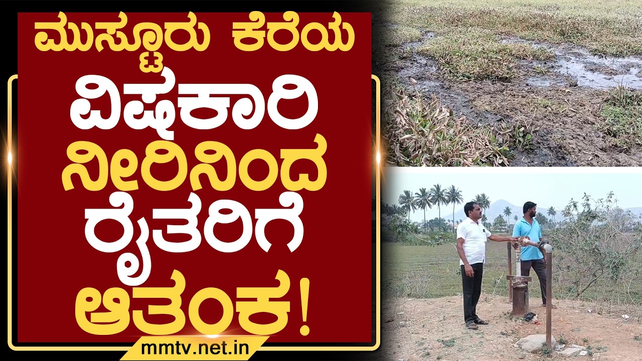 ಮುಸ್ಟೂರು ಕೆರೆಯ ವಿಷಕಾರಿ ನೀರಿನಿಂದ ರೈತರಿಗೆ ಆತಂಕ ! | ಚಿಕ್ಕಬಳ್ಳಾಪುರ @MMTV-News 09-03-2026