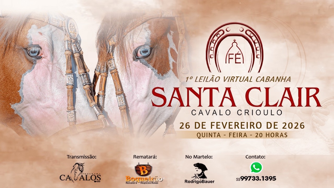 1º LEILÃO VIRTUAL CABANHA SANTA CLAIR AO VIVO PROGRAMA CAVALOS TRANSMISSÃO LEILÕES CAVALO CRIOULO
