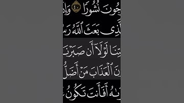 سورة الفرقان الآية ٤١  الشيخ سعد الغامدي