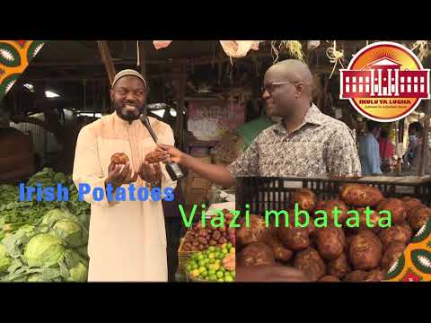 Video: Tunakua Mazao Ya Pili Ya Viazi