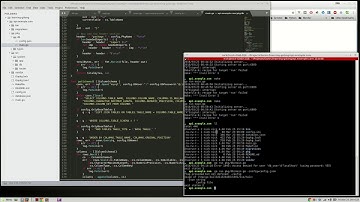GoLang,VueJS - WebApp series [004] - Autogenerate DB Structs at Runtime