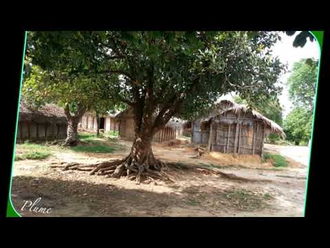 Ndrankenrazana Cordeon Rombo