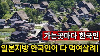 찬밥 신세 제주도 | 일본의 지방을 먹여살리는 한국인들 [모음집]