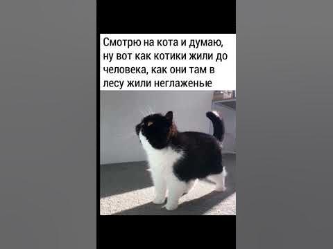 Хорошего настроения. - YouTube
