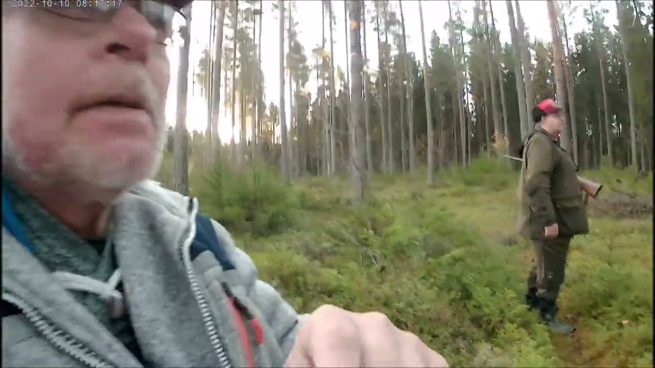 Hovrahällarna & 2022 Älgjakt i Nordvästra Hälsingland.