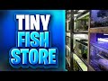 Tiny Fish Store Tour! 152 Tanks In Just 15x15ft! (Gateshead Guppies Fish Store Tour UK!)