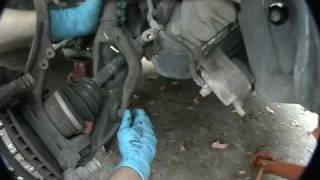 replace struts.flv