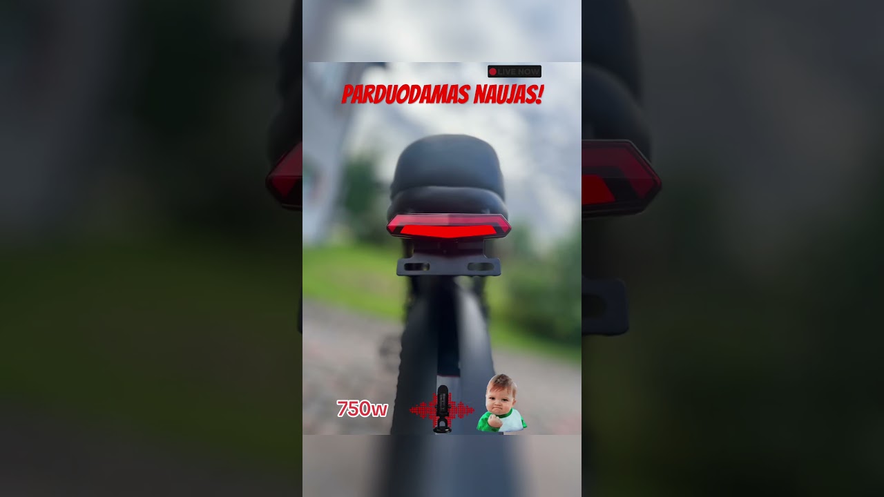 z8Pro 750w 24inch ebike